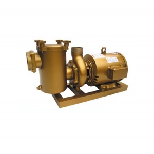 铸铜循环水泵